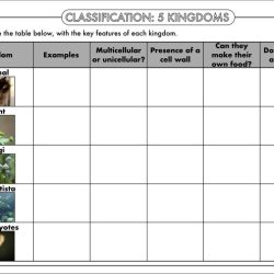 Kingdom classification worksheet answer key