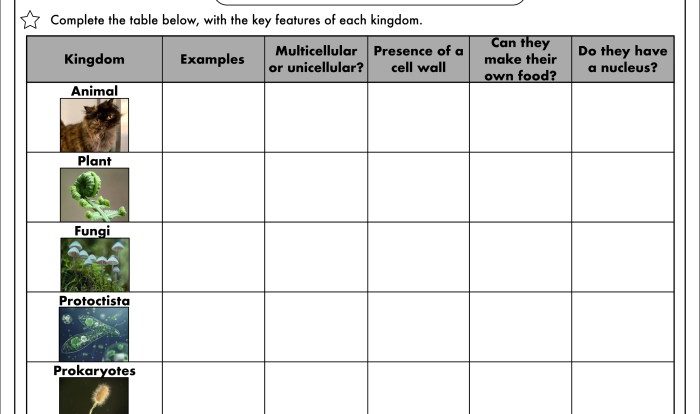 Kingdom classification worksheet answer key