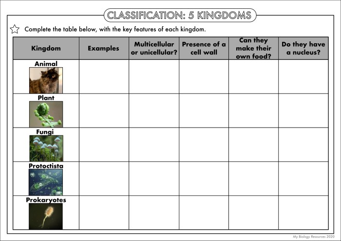 Kingdom classification worksheet answer key