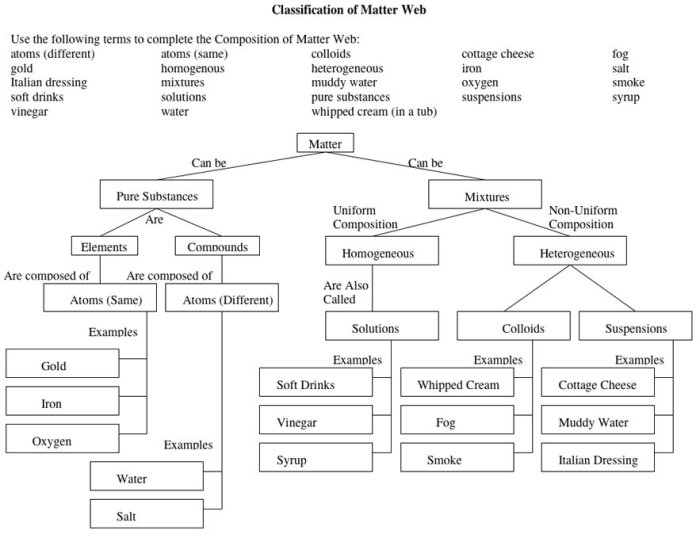 Kingdom classification worksheet answer key