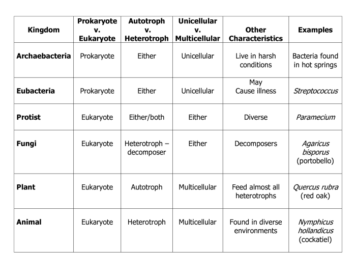 Kingdom classification worksheet answer key