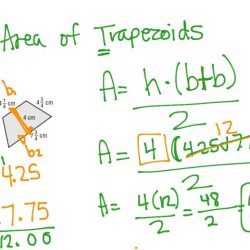 Area of parallelograms triangles and trapezoids worksheet answers